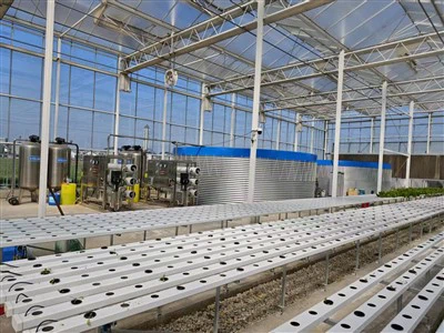 Issiqxona suvini saqlash idishi